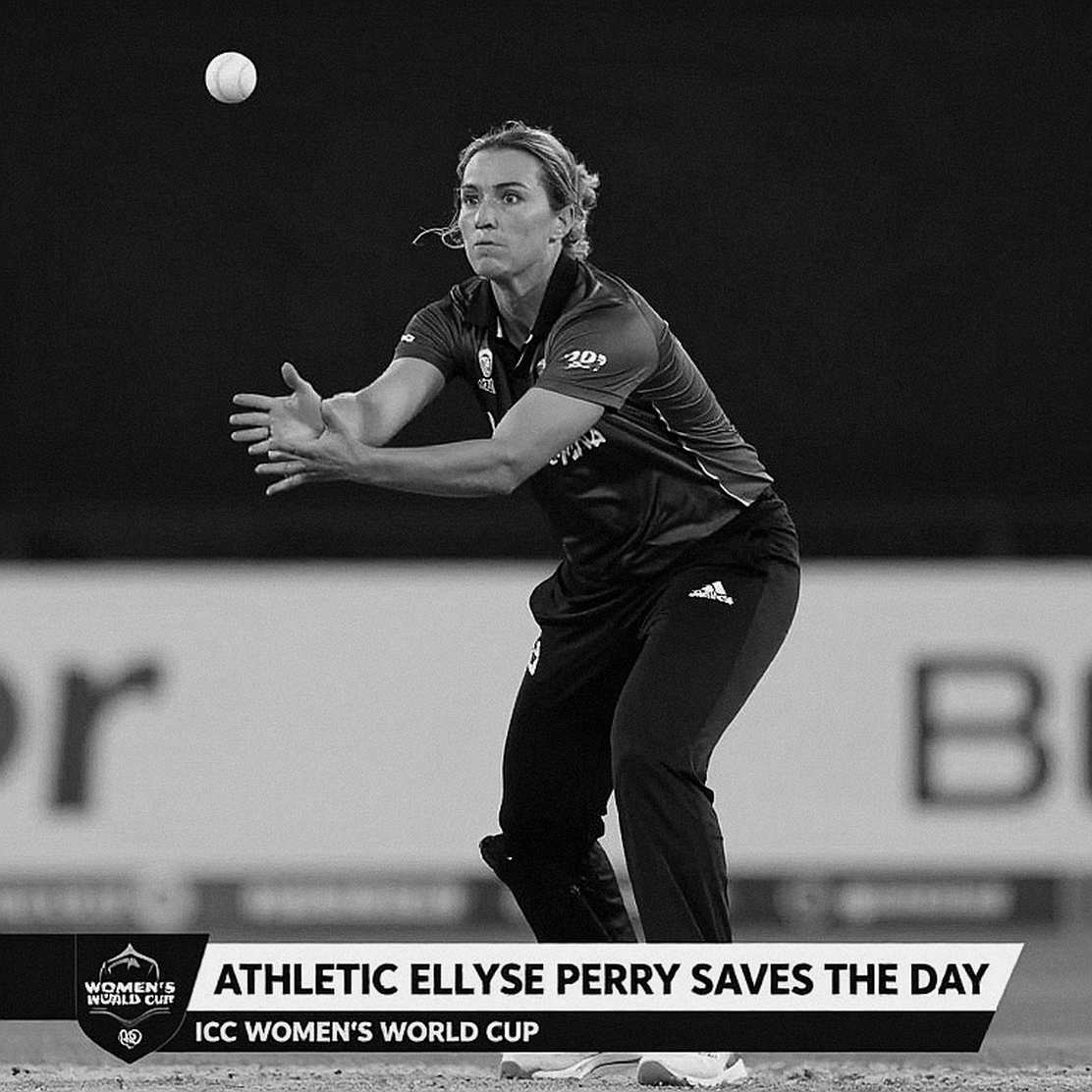The Empty File, the Heavy Verdict: Cricket's Chain of Evidence
